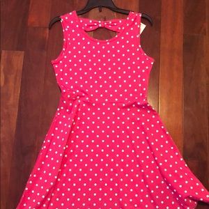 Polka Dot Pink Skater Dress